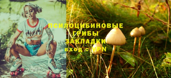 соль курить ск Аркадак