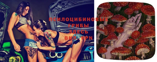 твердый Нефтекумск