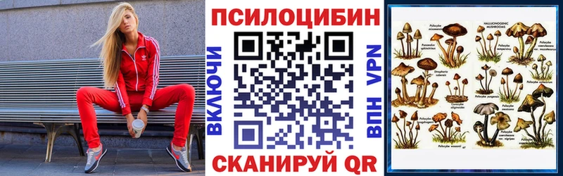 наркотики  Нижнеудинск  Галлюциногенные грибы Psilocybine cubensis 