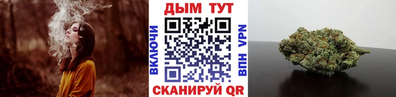 Бошки марихуана SATIVA & INDICA  Нижнеудинск 